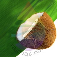 Coconut Fragrance for Rainbow and RainMate