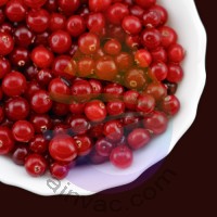 Cranberry Fragrance for Rainbow & RainMate