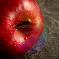 Fresh Apple Fragrance for Rainbow & RainMate