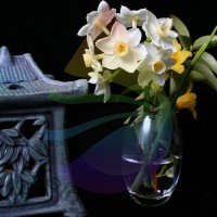 Oriental Bouquet Fragrance for Rainbow & RainMate