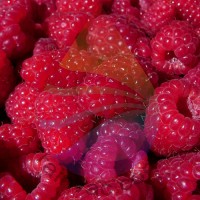 Raspberry Fragrance for Rainbow & RainMate