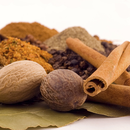 Cinnamon & Spice Fragrance