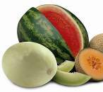 Summer Melons Fragrance