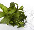 Spearmint Fragrance