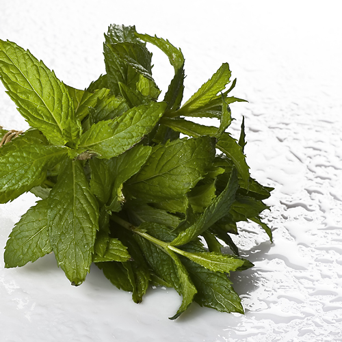 Spearmint Fragrance