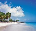 Tropical Breeze Fragrance