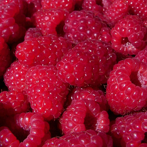 Raspberry Fragrance